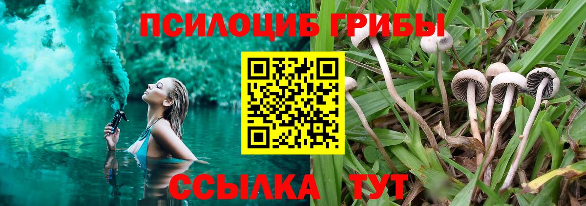 Галлюциногенные грибы Magic Shrooms Обь