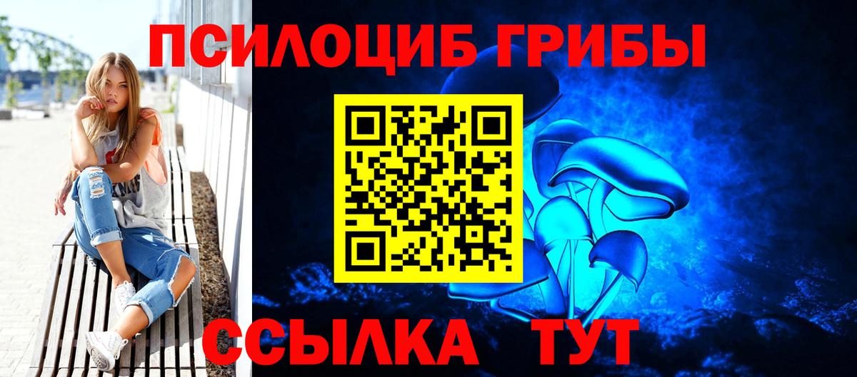 Псилоцибиновые грибы Psilocybine cubensis  наркота  Обь  Вход с VPN 